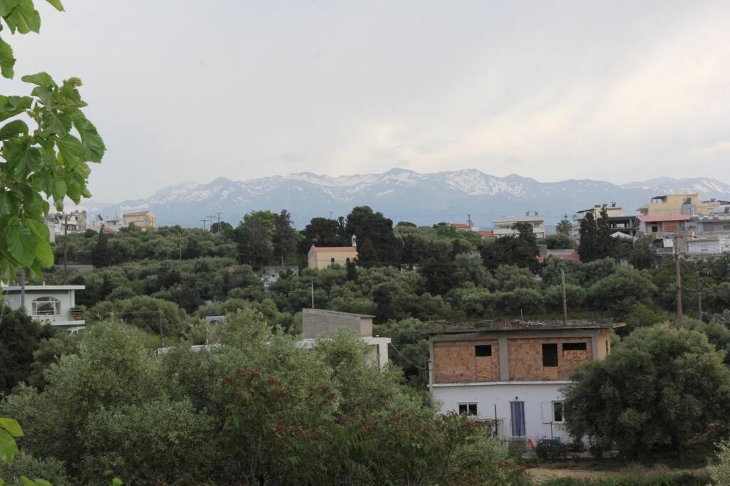 Άνετο Και Πολυτελές Οροφοδιαμέρισμα 2 خانيا المظهر الخارجي الصورة